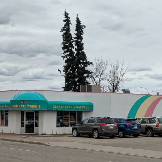Grande Prairie Pet Store Grande Prairie Downtown Association